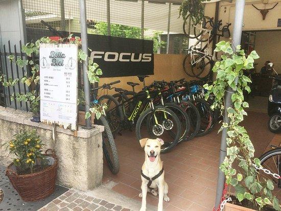 Bella Bici - Bike & Vespa Rental