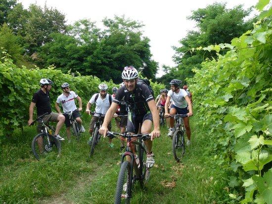 Bike Veneto - Rent a Bike