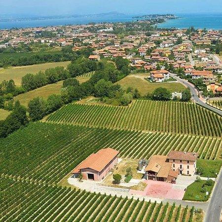 Azienda Agricola Sgreva