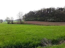 Parco Colline Moreniche di Castiglione